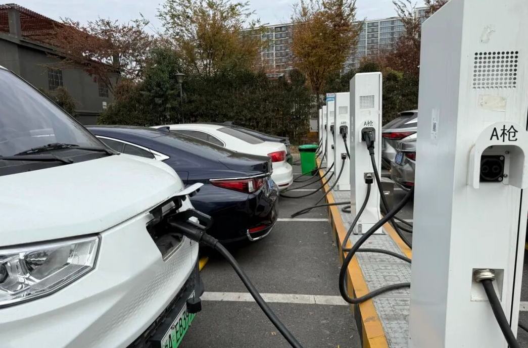 桐乡，新增290个！