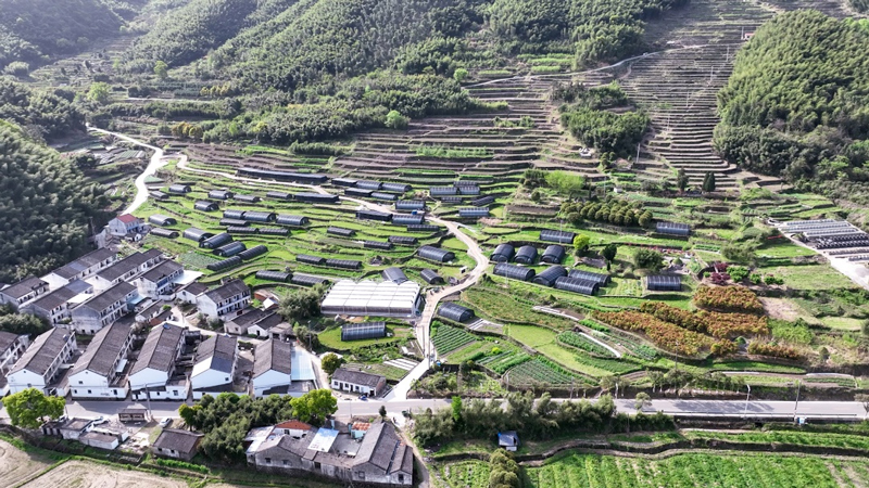 大堰灵芝种植基地俯瞰。浙江烟草供图