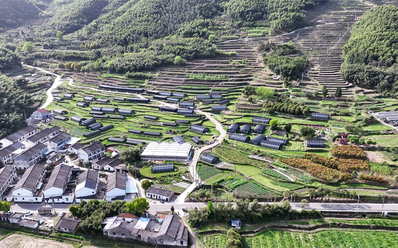 大堰灵芝种植基地俯瞰。宁波烟草供图