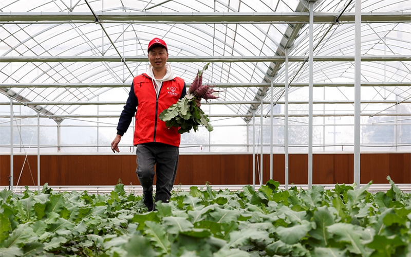 夏仁蛟在“香溢”青創農場參與勞作。台州煙草供圖