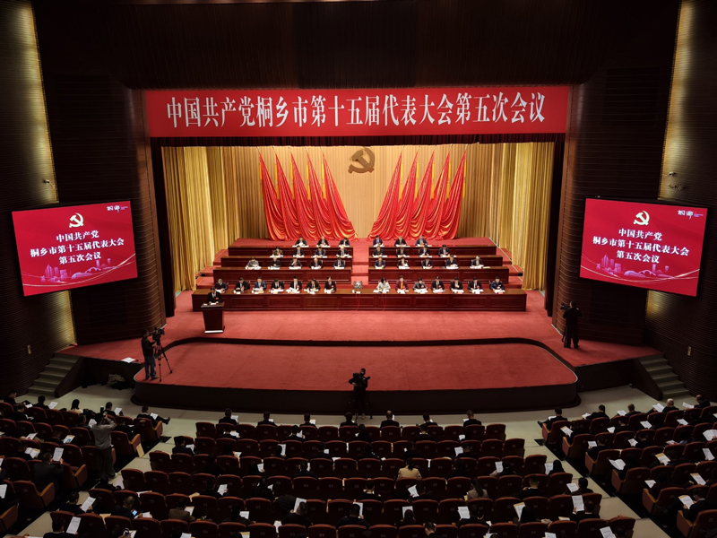 会议现场。桐乡市委宣传部供图