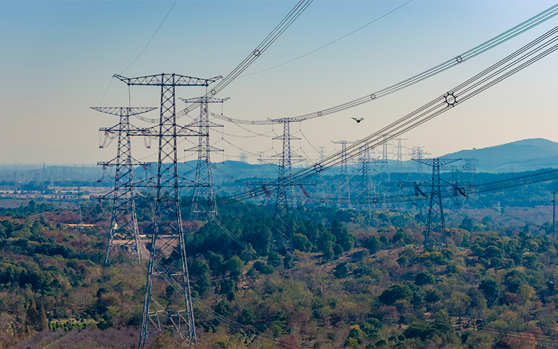 無人機對輸電通道開展巡檢。國網湖州供電公司供圖