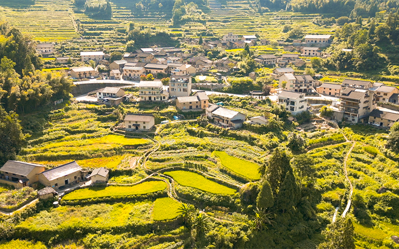 梅源村坐拥丰富的优质生态资源。云和县委宣传部供图