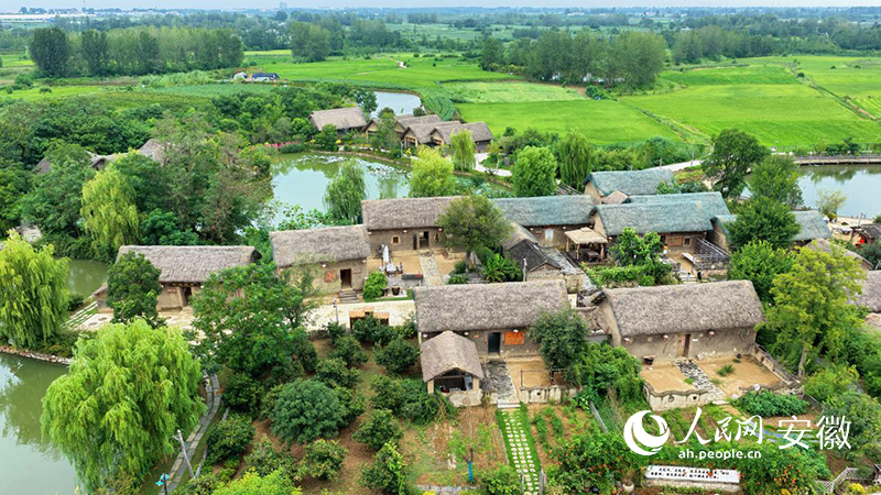 俯瞰小岗村的当年农家二期。人民网记者 郭昊摄