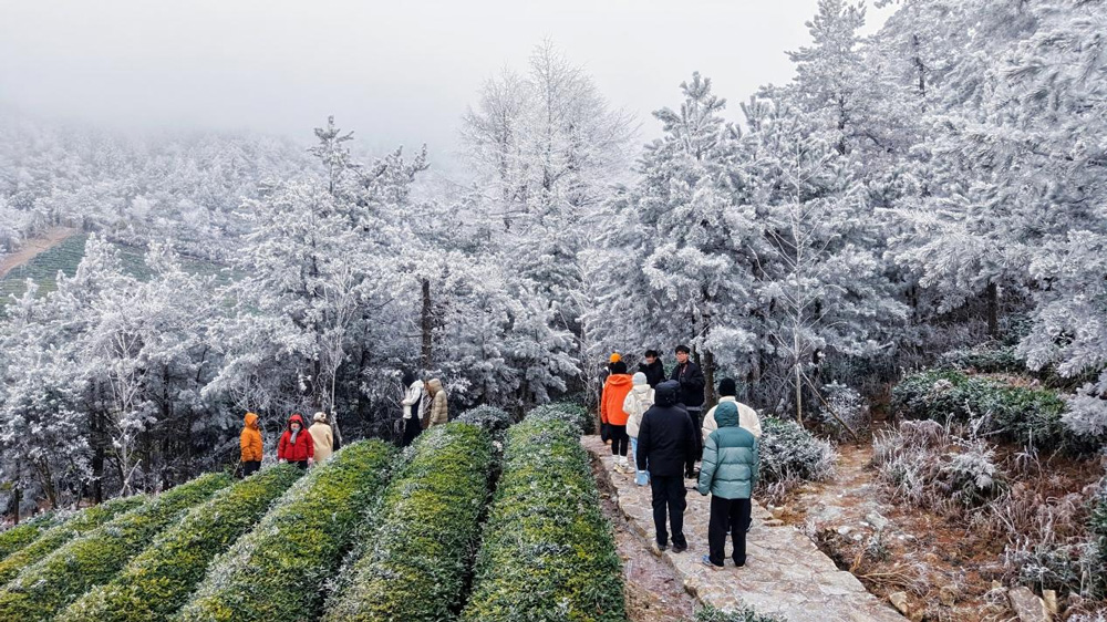 市民游客前来观赏雾凇美景。王哲孟摄