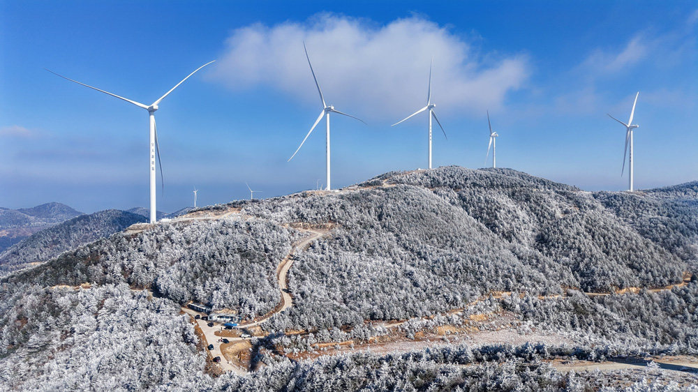 1月21日，位于温州永嘉的大寺基出现雾凇景观。王哲孟摄