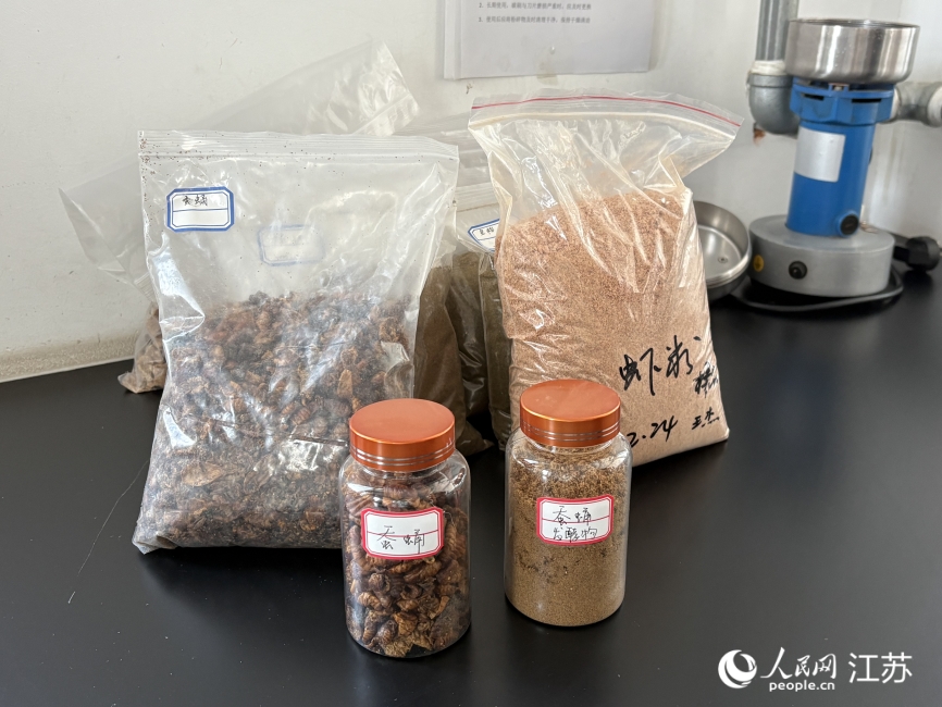 连云港韩德饲料有限公司生产的蚕蛹粉样品。人民网 刘益佳摄