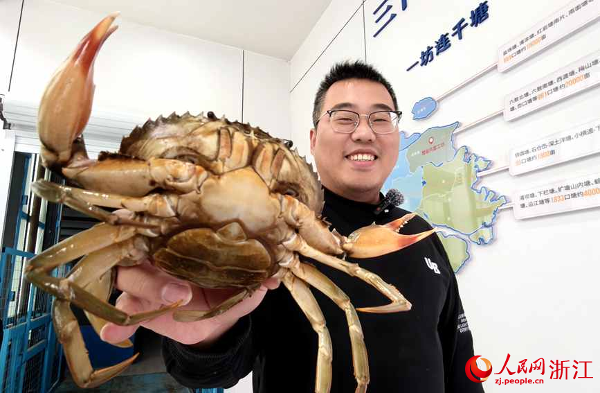 三门青蟹是国家地理标志产品。人民网记者 张丽玮摄