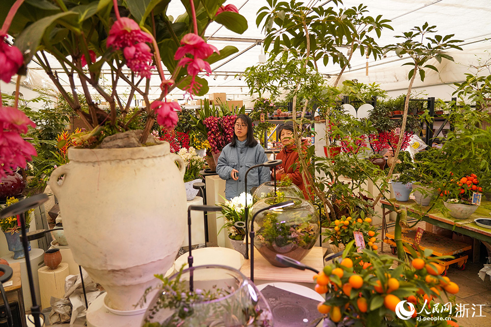 市民在挑選心儀的年宵花。人民網 章勇濤攝