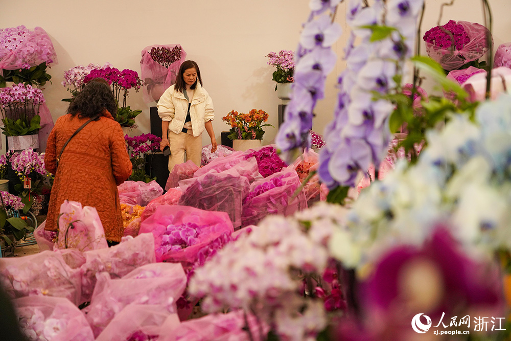 市民在挑選心儀的年宵花。人民網 章勇濤攝