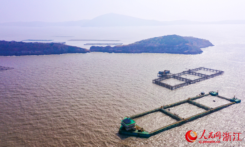 大陳島的“墾荒1號”養殖平台。人民網記者 郭揚攝