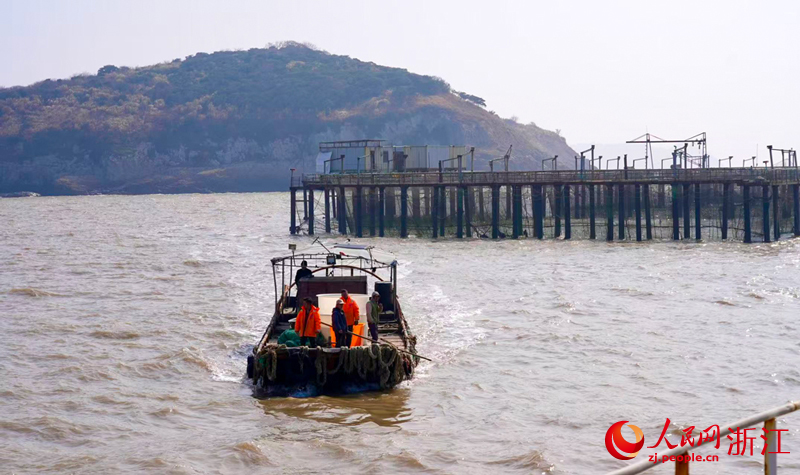 收網作業的船隻正在忙碌著。人民網記者 郭揚攝