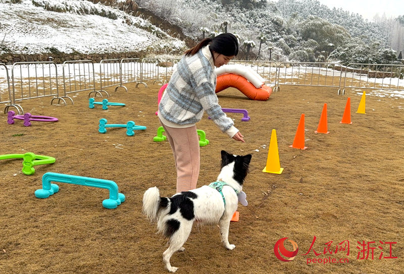 在白楊村舉行的寵物賽事。人民網記者 方彭依夢攝