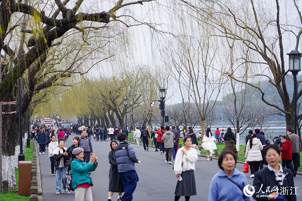 2月25日，西湖邊的柳樹傳遞春訊。人民網 章勇濤攝