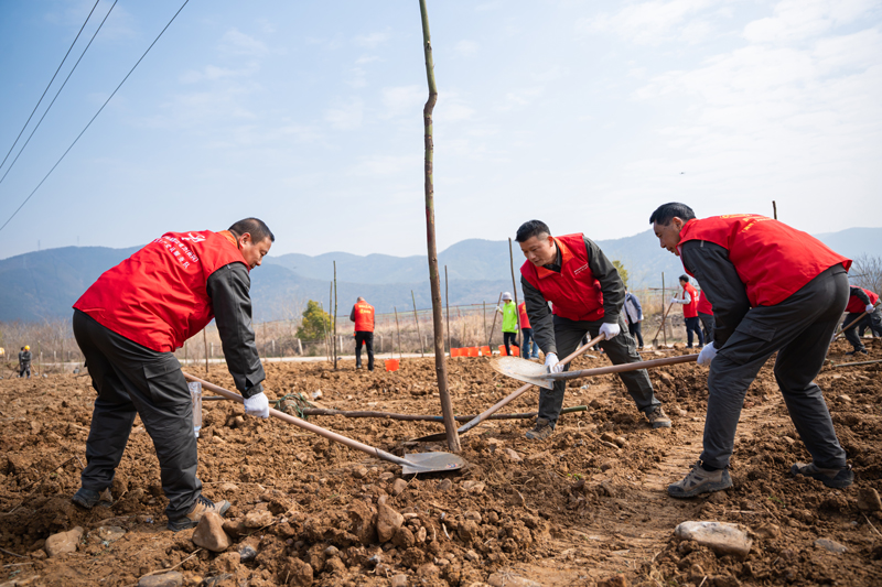 植樹現場。國網湖州供電公司供圖