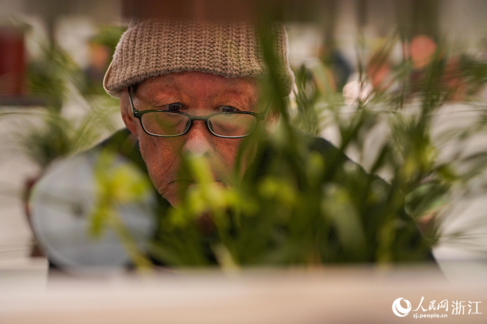 3月13日，浙江省紹興市柯橋區漓渚鎮，游客在觀賞春蘭。人民網 章勇濤攝