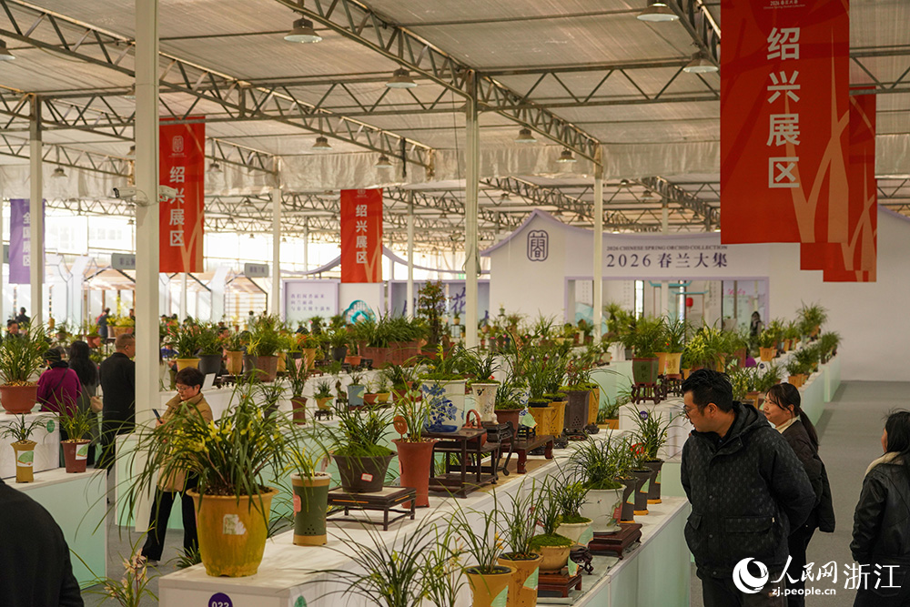 3月13日，浙江省紹興市柯橋區漓渚鎮，游客在觀賞春蘭。人民網 章勇濤攝