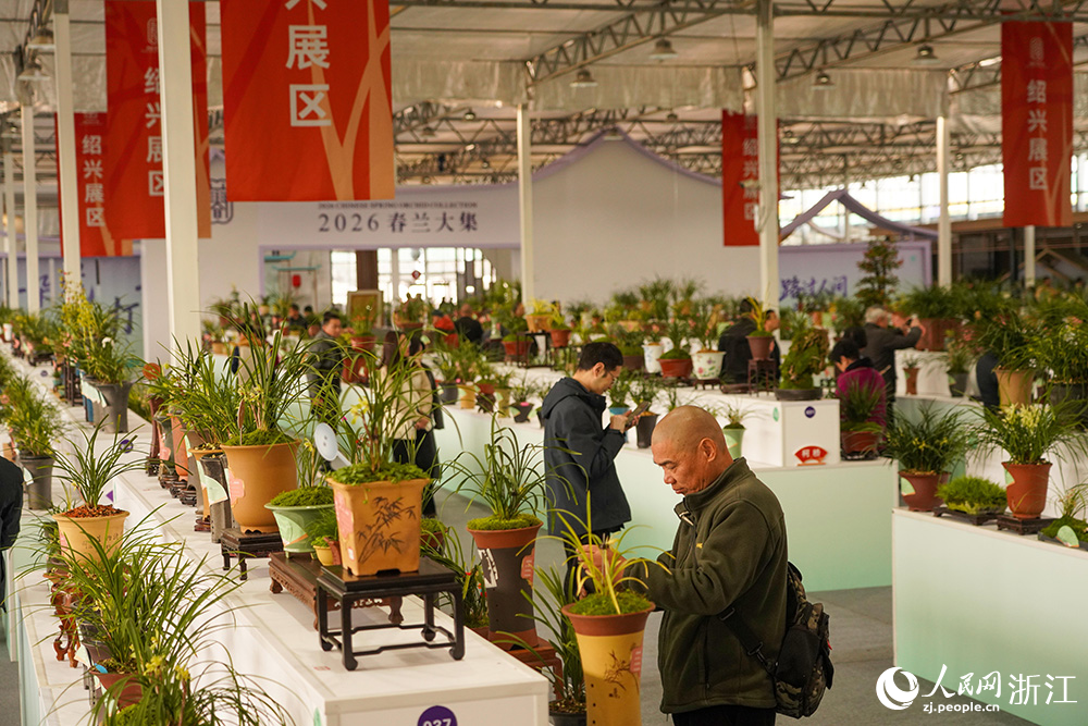 3月13日，浙江省紹興市柯橋區漓渚鎮，游客在觀賞春蘭。人民網 章勇濤攝