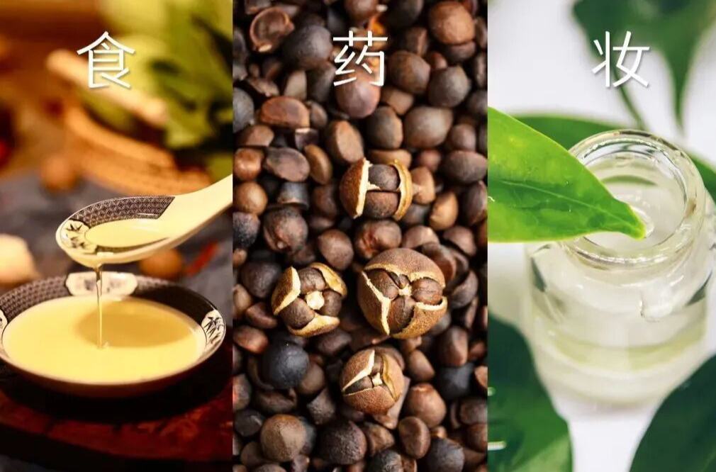 山茶花/油,被大牌追捧的东方瑰宝