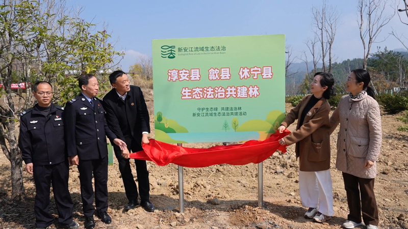 活动现场。活动方供图