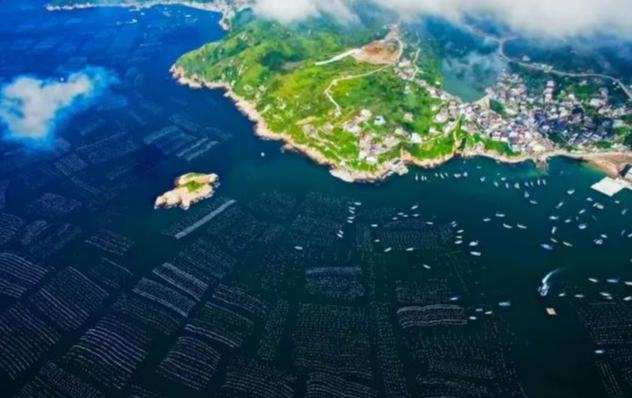 喜報！枸杞鄉獲國家級榮譽