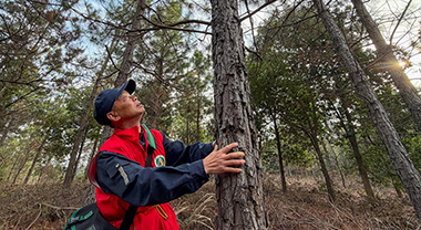三個“綠賬本”