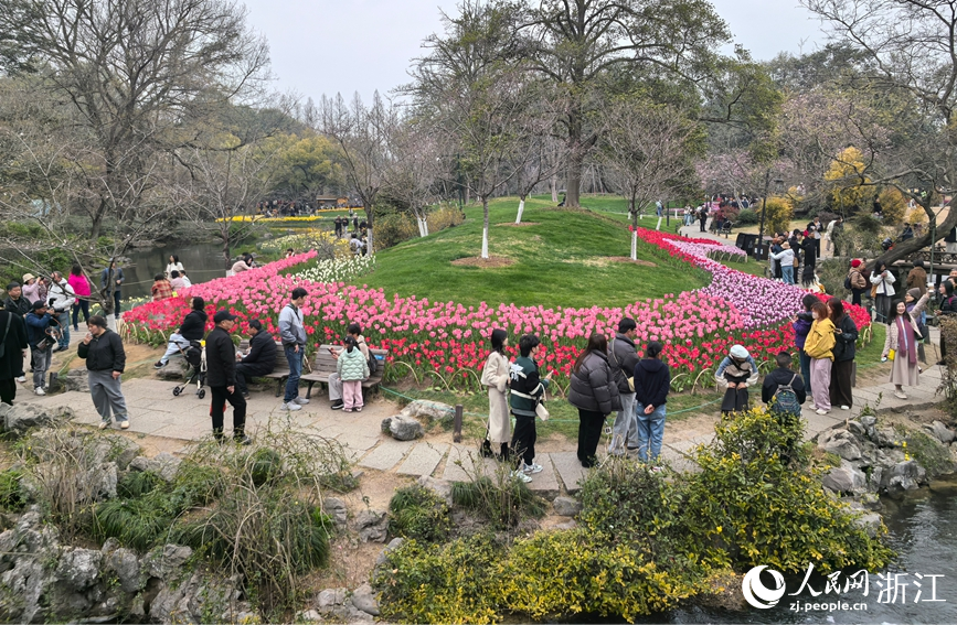 杭州太子湾公园内数十万株郁金香次第绽放。人民网 章勇涛摄
