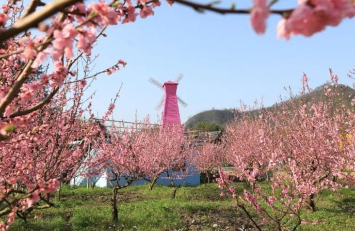 來雲和！趕赴春日盛景