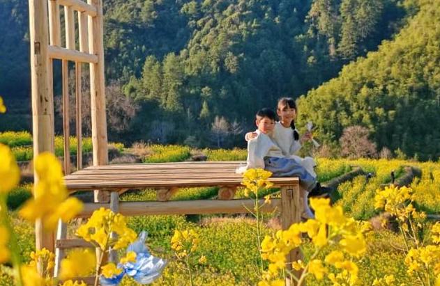 龍泉：“賞花經濟”賦能消費正當時