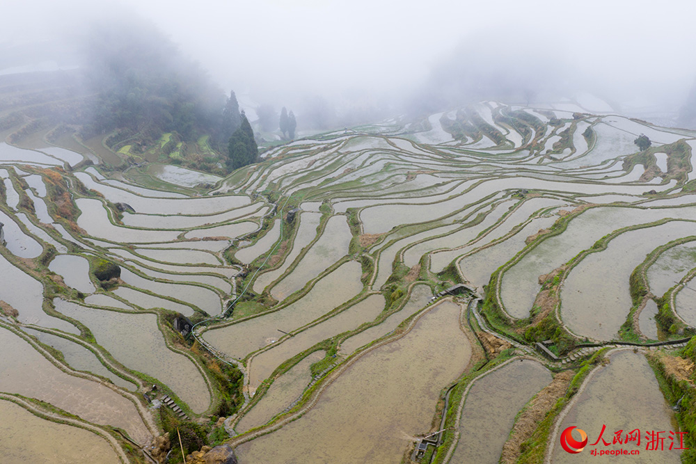 云和梯田蓄满春水。人民网 章勇涛摄