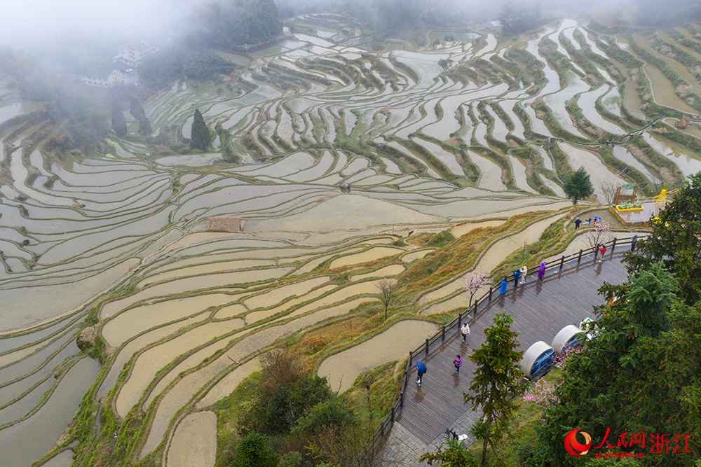 游客欣赏云和梯田风光。人民网 章勇涛摄