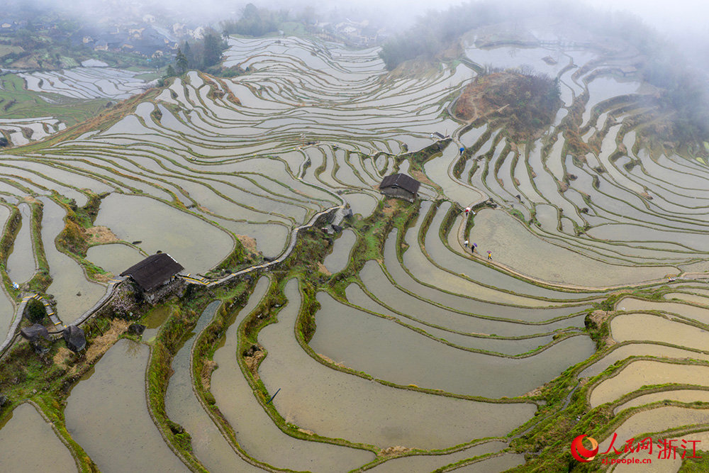 云和梯田蓄满春水。人民网 章勇涛摄