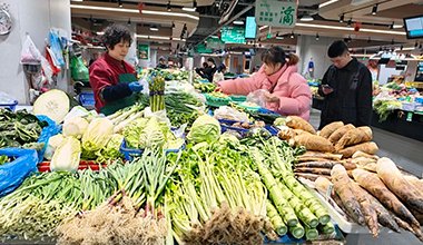 禾城“菜篮子”春意盎然