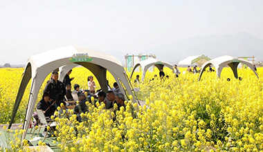 衢州：初春不宅家 好天气带火乡村游