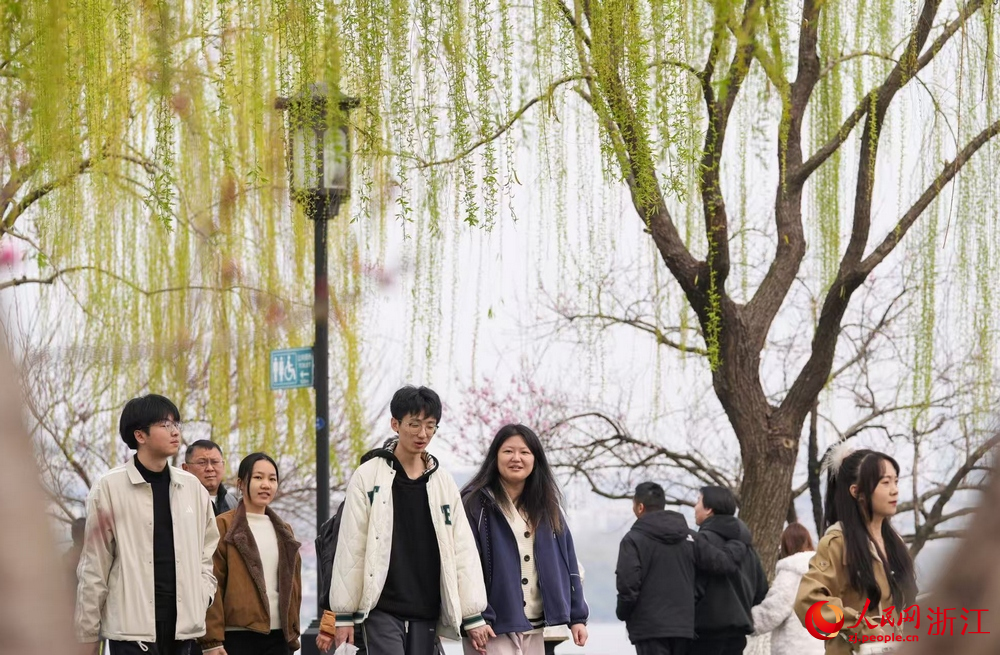 3月20日，浙江杭州西湖景区垂柳初绽嫩芽，游客穿行其间。人民网记者 郭扬摄