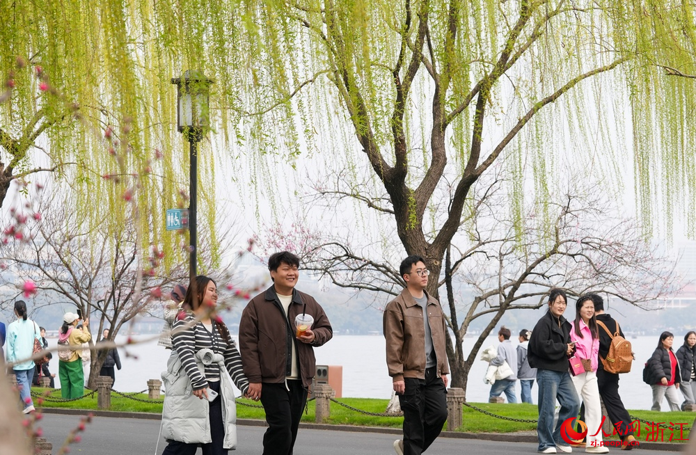 3月20日，浙江杭州西湖景區垂柳初綻嫩芽，游客穿行其間。人民網記者 郭揚攝