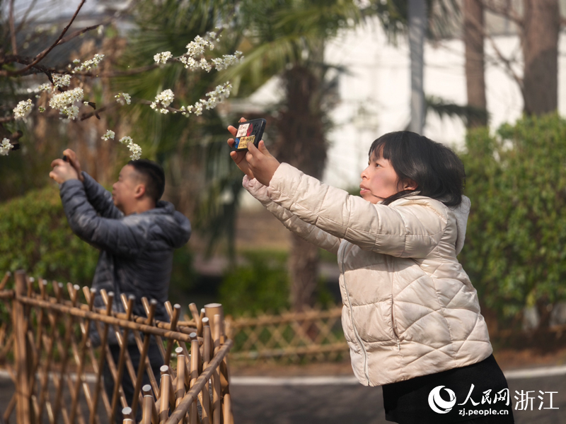游客在桃園村拍照留念。人民網 劉欣蔚攝