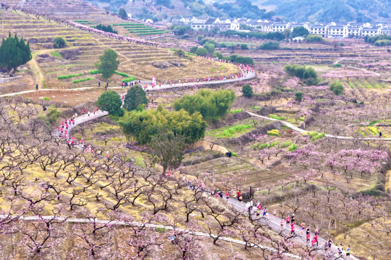 比賽現場。奉化區委宣傳部供圖
