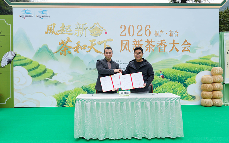 2026凤新茶香大会现场。金轶润摄