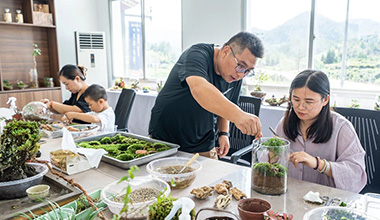 麗水蓮都老竹技能團念好苔蘚“致富經”