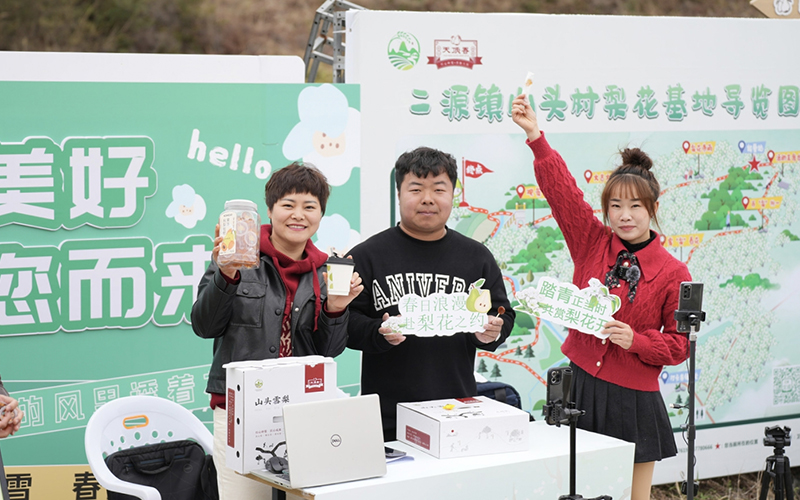 电商直播带货。文成县委宣传部供图