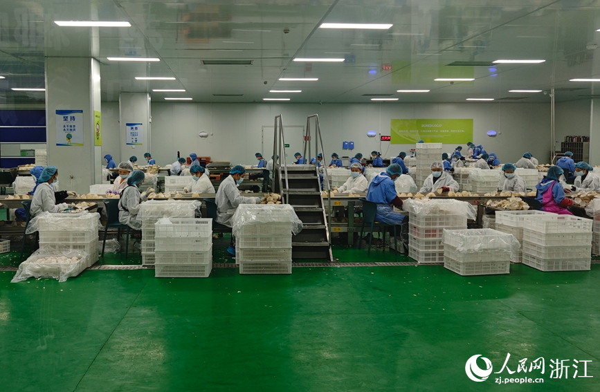 抱个椰（海南）饮品有限责任公司华东椰水采水中心。人民网记者 张帆摄