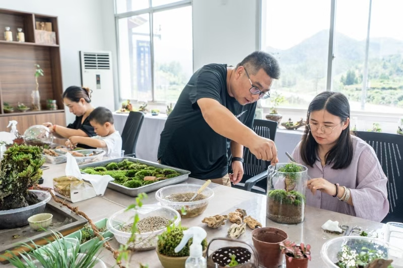 苔藓共富工坊。老竹镇供图