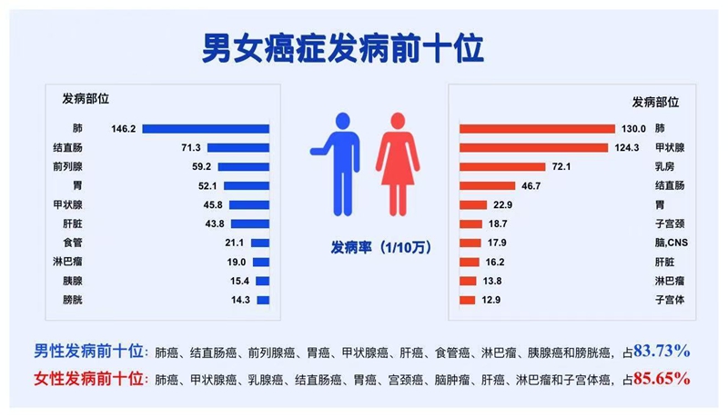 浙江省男女癌症发病前十位。浙江省肿瘤医院供图