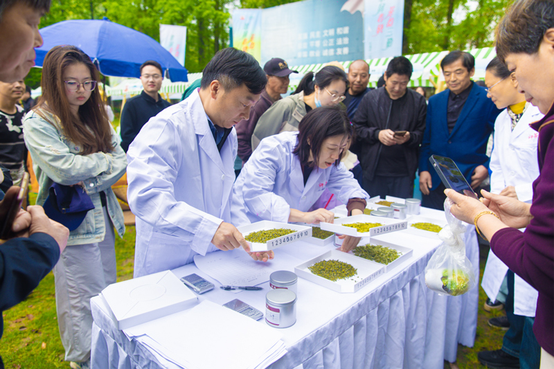 “翠屏茶王”评选环节。盛林伟摄