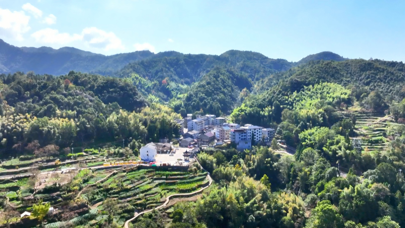 东炉村坐落在山间盆地之中，其地形形似一座炉子，故而得名“东炉”。永嘉县融媒体供图