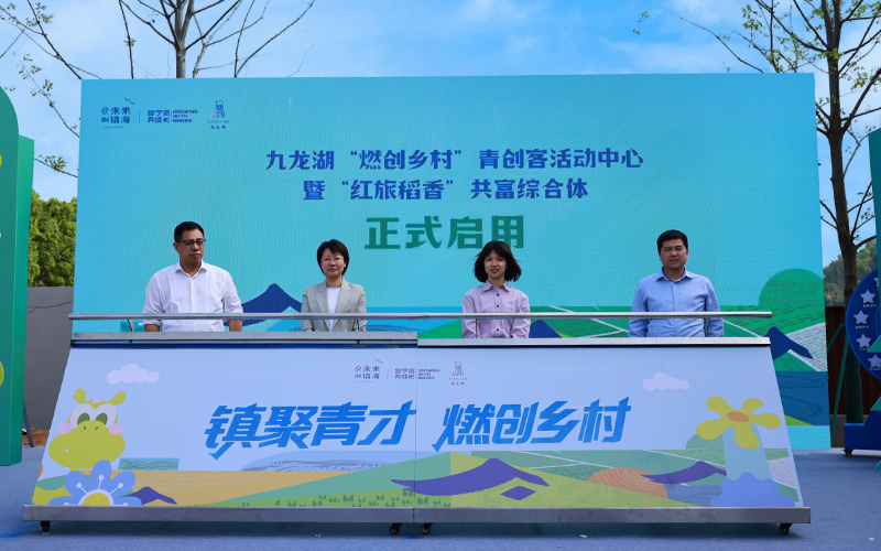 活动现场。九龙湖镇供图