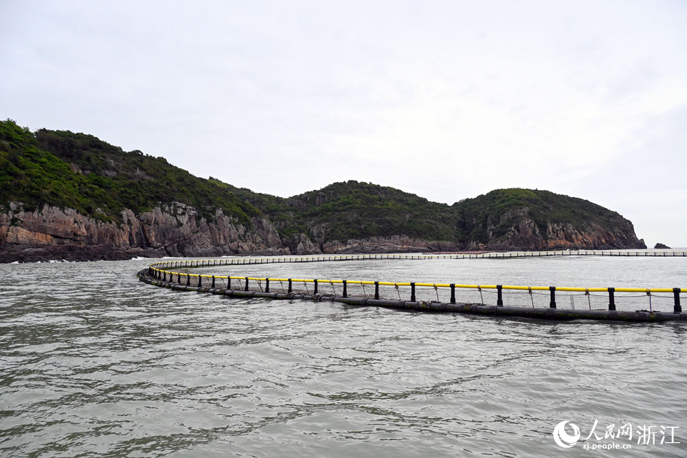 周長384米的深遠海抗風浪超大型仿野生智能網箱。人民網記者 葉賓得攝