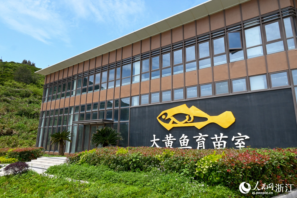 南麂海洋科技中心内设大黄鱼育苗室、循环水养殖室、贝藻研究室、生化实验室等专业化功能区域，已形成较为完备的海洋生物研究与养殖条件。人民网记者 叶宾得摄