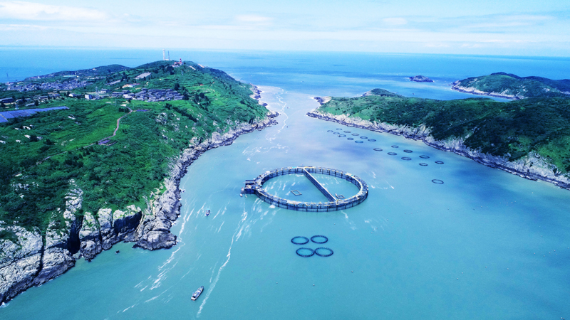 位于北麂岛“八字门”海域的全国最大双圆周大跨距管桩式围网养殖基地。温州市农业农村局供图
